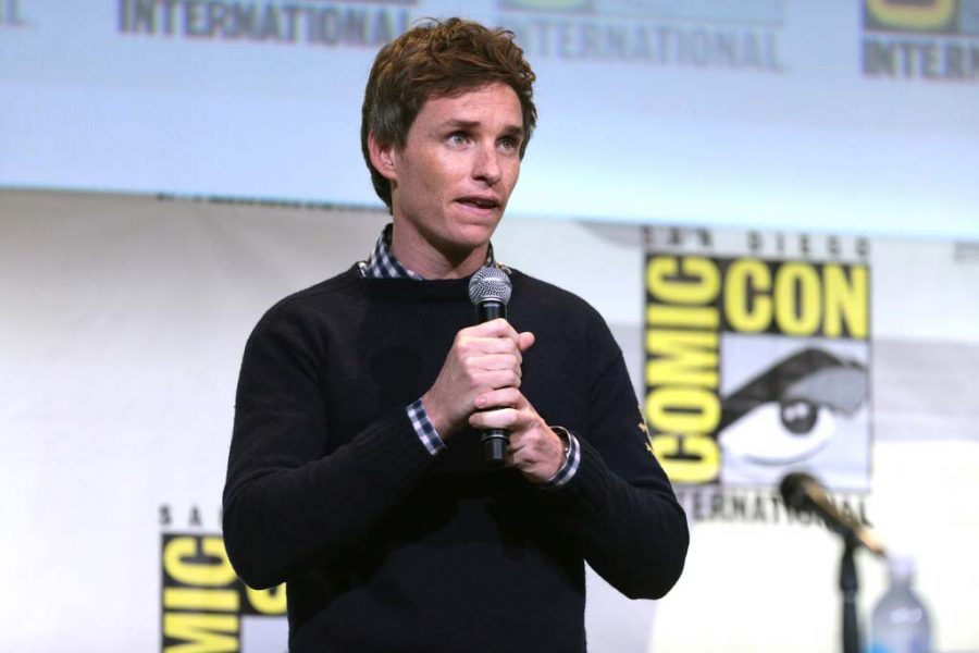 Eddie Redmayne talks about "Fantastic Beasts and Where to Find Them" and Comic Con